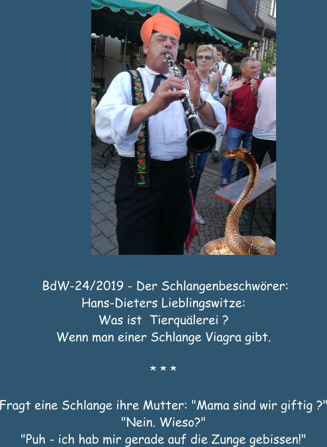 BdW-24/2019 - Der Schlangenbeschwrer: Hans-Dieters Lieblingswitze: Was ist  Tierqulerei ? Wenn man einer Schlange Viagra gibt.  * * *  Fragt eine Schlange ihre Mutter: "Mama sind wir giftig ?" "Nein. Wieso?" "Puh - ich hab mir gerade auf die Zunge gebissen!"